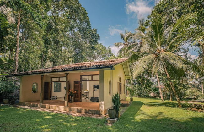 Luxurious 07 Bedroom Hilltop Villa With Private Gym - Photo 44