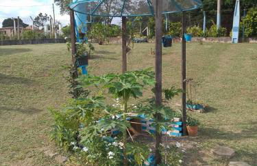 chaler Sao Jorge - Foto 48