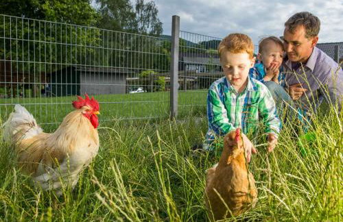 Landhaus Schulte-Göbel - Foto 35