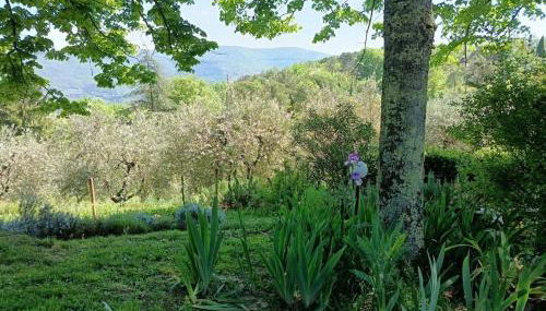 Hillside semi-detached villa with panoramic views - Foto 4