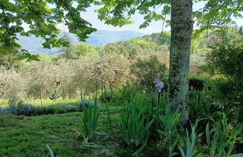 Hillside semi-detached villa with panoramic views - Foto 4