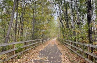 Sunsets at Lake Mary - Photo 25