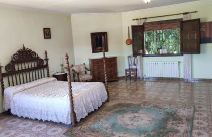 Precioso chalet con gran algarrobo y piscina privada - Foto 6