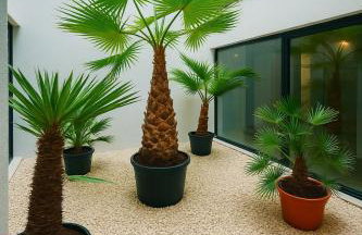 Baltic Waves Miedzyzdroje - Foto 24