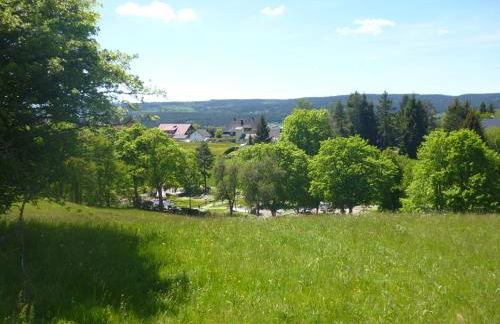 Ferienwohnung Schwarzwald-Alpenblick - Foto 35