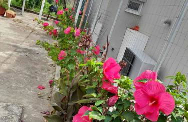 Casa Armonia - Foto 5