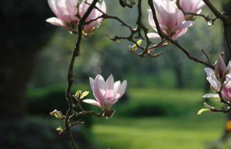 Ferienwohnung im Grünen - Hof Blohme - Foto 35