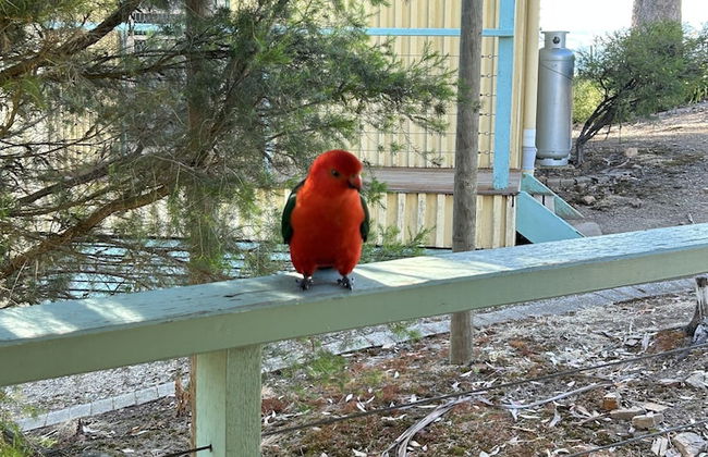 Burnt Creek Cottages Mansfield - Photo 52