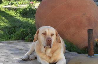 Casa da Paleta - Foto 29