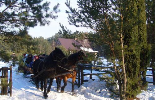 Chata u Żochów - Foto 34