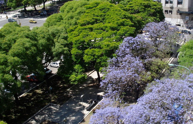 HTL 9 de Julio Bs As - Foto 39