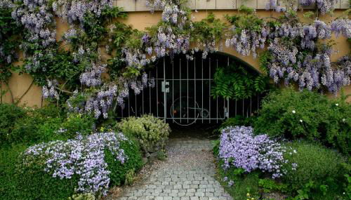 Villa Linke am Bodensee - Photo 4