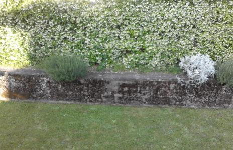 Villa Romolina - Foto 15