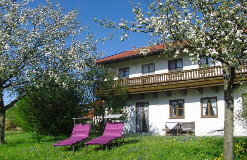 Pichler Roswitha - Foto 29