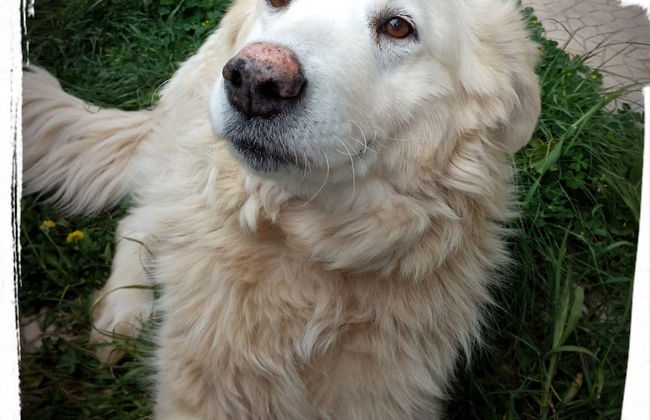 Room in Farmhouse - Agriturismo Abbondanza® - Foto 23