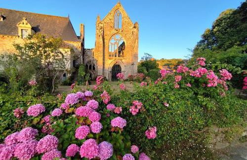 La clé des falaises Meublé de tourisme 3 étoiles avec petite vue mer et au bord du GR 34 - Foto 26