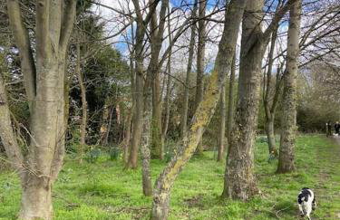 Stay at 128 - Foto 17