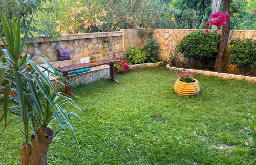 Golden Star - Foto 53