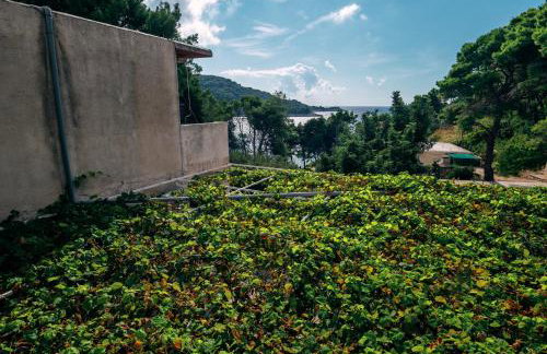 Apartments Pitarević - Photo 66