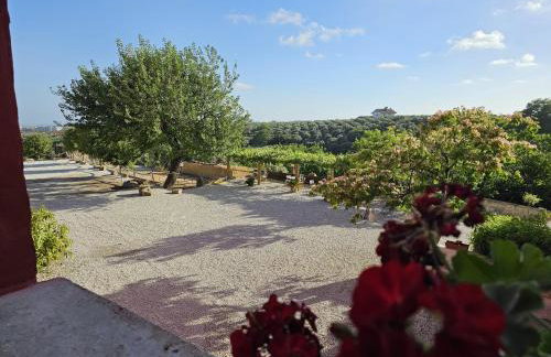 Tenuta degli Ulivi - Dimora Contadina - Foto 5