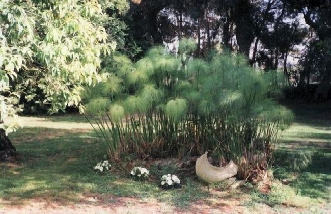 Case Damma - Foto 79