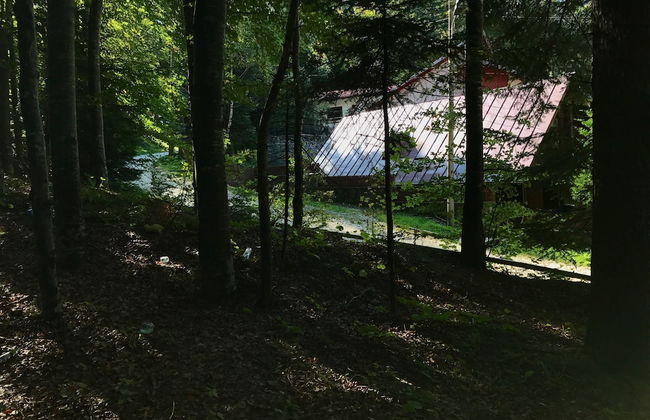 Casita del Bosque - Foto 19