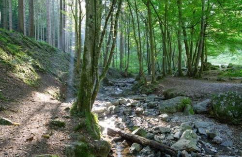 Holiday Home in Grand Est - Foto 3