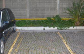 Cologno Centro Apartment - Photo 25