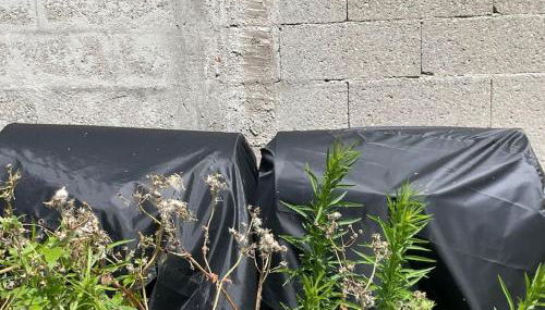 Logement cosy à 15 mn de la gare saint Lazare et 30 mn de l'aéroport Charles de Gaulles - Photo 5