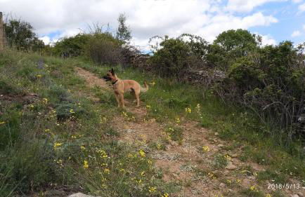 Estrella rural casa rural en la Sierra de Madrid - Foto 22