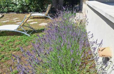 Le JARDIN DES DELIS gite NEUF avec piscine bio UV - Foto 20