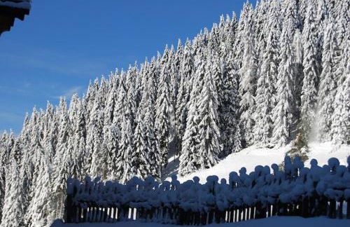 Chalet Tobià Apartments - Foto 51