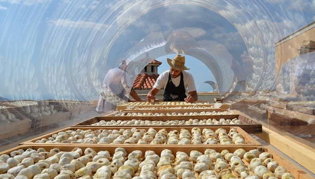 Figue blanche Monnato