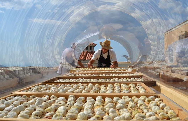 Visite guidée dans Prignano Cilento - Photo 3