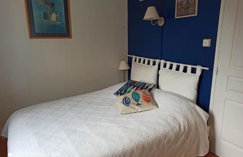 La Rose des Claux - Foto 29