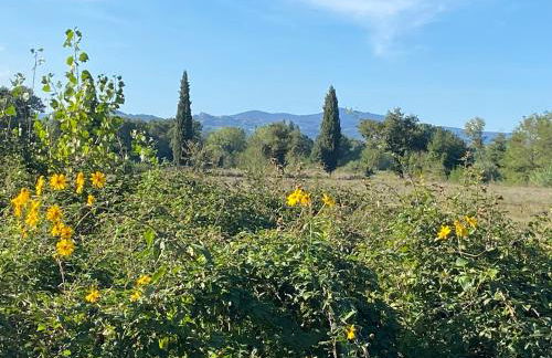 Il Casale delle Rose - Foto 47