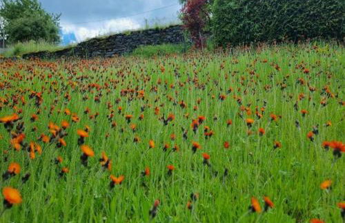 Moderne Villa in Borstendorf mit Park - Foto 29
