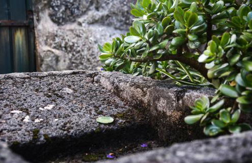 Quinta dos Frutos - Foto 10