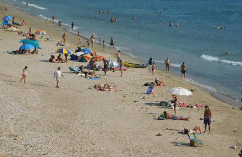 Paradise Studios - Foto 34