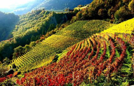 Dolomitica, nuovo, fino a 6 Persone - Foto 22