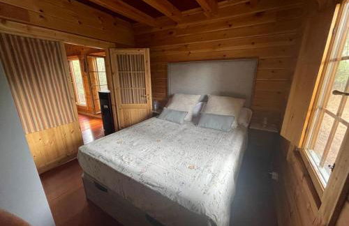 EL BOSQUE ENCANTADO - Photo 34