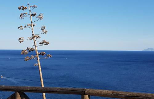 Rosa dei Venti Est - Foto 5