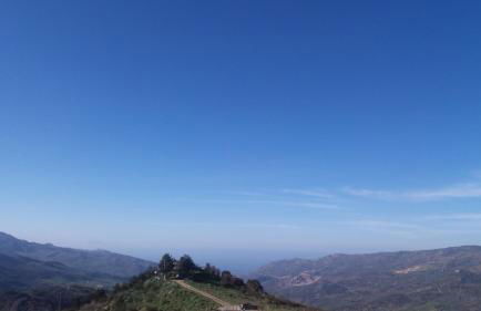 Arte Mare e Cultura - Foto 25