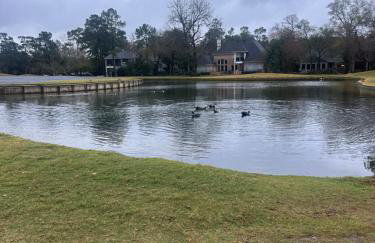 The Woodlands - Foto 5