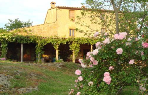 Agriturismo locanda settimo cielo - Foto 15