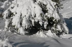 Chambre double Alpes du Sud Provence - Foto 21