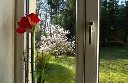 Ferienwohnung Villa am Haussee - Foto 16