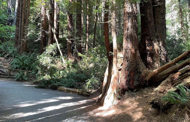 Oceanview Cabin 19 Jacuzzi Large Deck w Seating - Foto 18