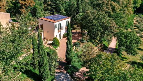 Dream House - Foto 1, Garden