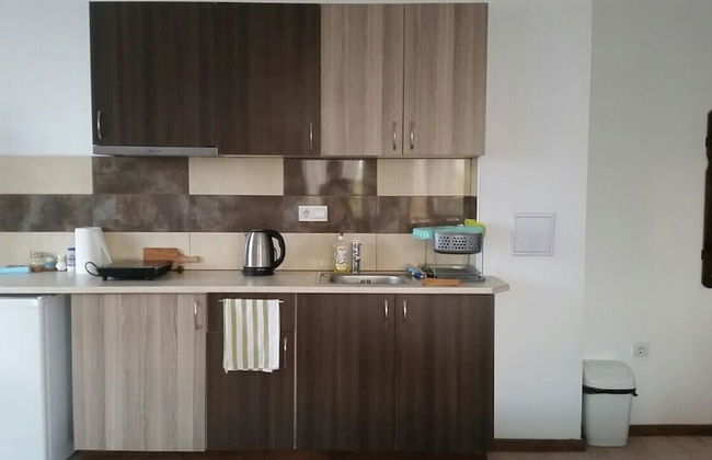 Immaculate Studio Apartment in Aleksandrovo - Photo 8